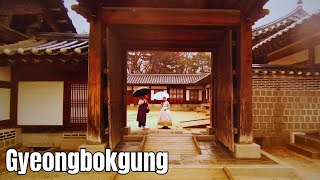 Seoul  Gyeongbokgung palace  rain and hanboks [upl. by Elleniad]