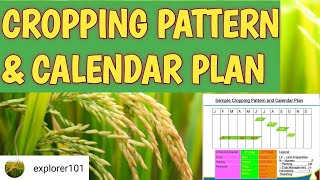 CROPPING PATTERN amp CALENDAR PLAN explorer101 [upl. by Odnanreh]