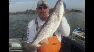 Giant Speckled Trout in Jacksonville Fl day after Superbowl Sunday [upl. by Ennyl]