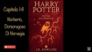 Harry Potter e la Pietra Filosofale audiolibro narrato da Francesco Pannofino  capitolo 14 [upl. by Beatriz133]