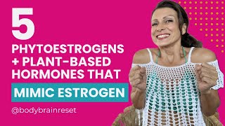 5 Phytoestrogens amp PlantBased Hormones To Balance Hormones Naturally [upl. by Viglione]