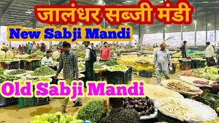 Jalandhar sabji Mandi Rate Today  Maksuda sabji Mandi  old sabji Mandi  aaj ki sabji mandi [upl. by Powe805]