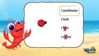 Estimate Length  2nd Grade Math [upl. by Ibocaj241]