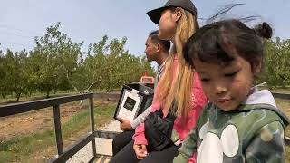 Hubers Orchard amp Winery  Apples Picking [upl. by Assirod800]