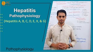 Hepatitis Pathophysiology  Hepatitis A B C D E X and G [upl. by Eimat]