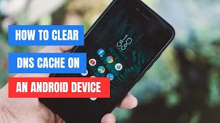 How to Clear DNS Cache in Chrome on Android Device [upl. by Elyad1]