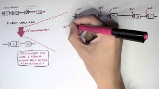 Immunology  Antibody Somatic VDJ Recombination II [upl. by Nirrat]