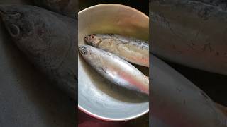 Thala curry recipe 🐟🤤youtubeshorts fishcurry fishtrendingshorts dailyvlog cookingshangeo [upl. by Nerek898]