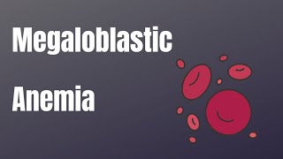 Megaloblastic anemia [upl. by Nnayr]