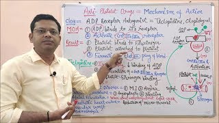 Anti Platelet Drug Part 01 Introduction amp Classification of Antiplatelet Drugs  Antiplatelet Drug [upl. by Sikorski]