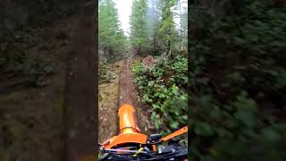 Fall dirt bikes pnw [upl. by Hamford]