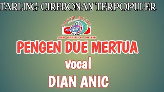 LAGU PENGEN DUE MERTUA vocal DIAN ANIC [upl. by Asinet]