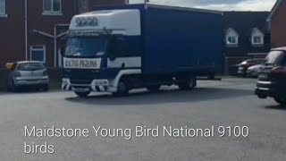 Maidstone Young Bird National 9100 Birds [upl. by Eillom]