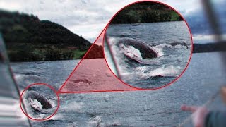 EL MISTERIO DEL MONSTRUO DEL LAGO NESS HA SIDO RESUELTO Neil Clark [upl. by Yhtir737]