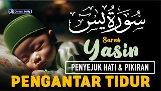 MUROTTAL ALQURAN MERDU SURAH YASIN  LEMBUT PENENANG HATI DAN PIKIRAN  PENGANTAR TIDUR [upl. by Elburt]