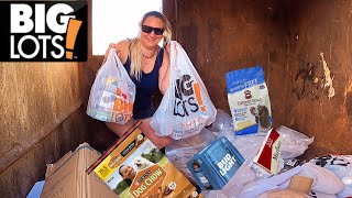 Dumpster Diving ABSOLUTELY INSANE HAUL  We Filled The Truck Up [upl. by Adnam]