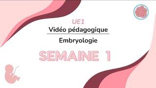 1° Semaine de développement  Vidéo Pédagogique UE 1 20242025 [upl. by Pestana]