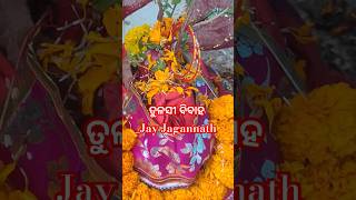 Tulasi Vivah Puja Vidhi Tulasi vivah Statusodiabhajan namitaagrawalShortsTulsi plantJagannath [upl. by Lienad679]