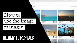 Alamy Image Manager  Tutorial [upl. by Jacynth]