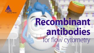 Benefits of recombinant antibody technology for flow cytometry [upl. by Ralleigh660]