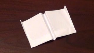 Longest Flying Paper Airplane Tutorial  How To Make The Worlds Longest Flying Paper Airplane [upl. by Leonteen]