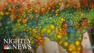 FDA Approves AtHome DNA Tests For 10 Diseases  NBC Nightly News [upl. by Lunsford]