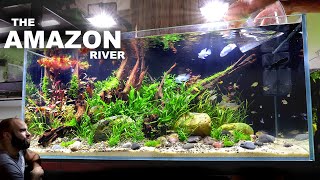 The Amazon River EPIC 4ft Aquascape Tutorial w Electric Blue Acara [upl. by Maidy]