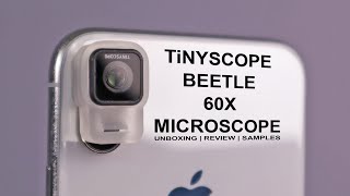 The 60X Beetle Microscope with Samples [upl. by Oigimer]