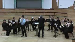 Cornet Solo The Southern Cross Herbert L Clarke [upl. by Hacker]