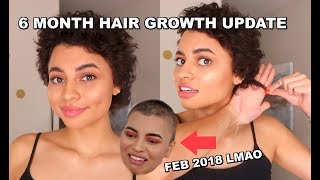 6 MONTH HAIR GROWTH UPDATE Shaved Head [upl. by Aikahc]