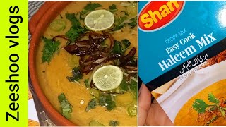 Shan Easy Cook Haleem Mix Recipe❗Tips and Tricks❗ Packet Wali Daleem✅ [upl. by Esinev]