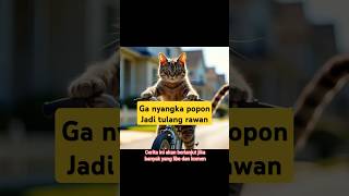 Popon si kucing mandiri shortvideo cat drama [upl. by Naahsar733]