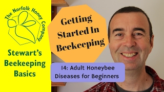 Getting Started in Beekeeping 14 Adult Honeybee Diseases  The Norfolk Honey Co Beekeeping [upl. by Okin]