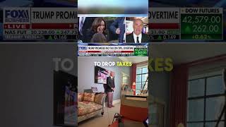 shorts Trump vs Harris Whose Tax plan is better [upl. by Harv278]