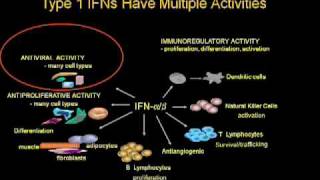 Hepatitis C Virus Infection and Immunity [upl. by Lada816]