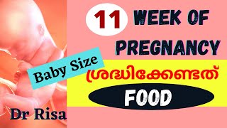 11 Week Pregnant  Pregnancy Week By Week Malayalam [upl. by Ewen]