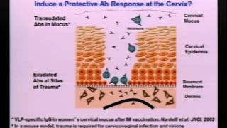 TRACO 2013  Cervical Cancer  Epigenetics [upl. by Adniroc]