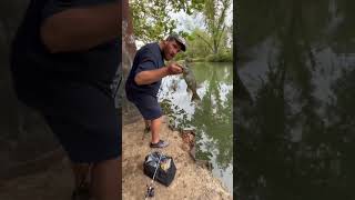 Smallmouth bass fishing gasconade river Missouri ozarks [upl. by Enitsej773]