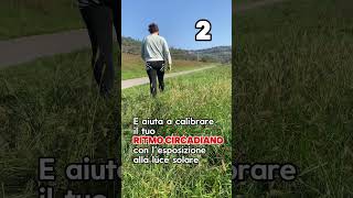 3 ottimi motivi per camminare [upl. by Utter]