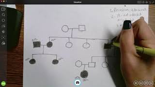 Genotypes and pedigrees [upl. by Isiad]