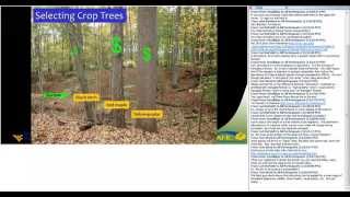 An introduction to silviculture [upl. by Bilow]