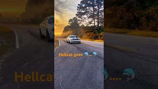 Hellcat Whine😮‍💨🔥 hellcat hellcatdaily hellcatchallenger srt carslover carguys cars [upl. by Nordek]