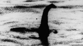 A Verdadeira História de Nessie O Monstro do Lago Ness [upl. by Aurel586]