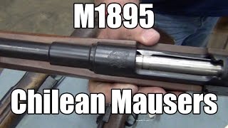 M1895 Chilean Mausers by DWM  Various Grades For Sale [upl. by Amleht]