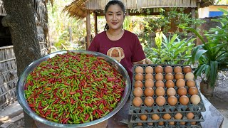 Yummy chili recipe and cooking with country style  Amazing cooking video [upl. by Heinrike]