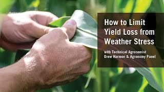 How to Limit Yield Loss from Weather Stress Webinar [upl. by Acile]