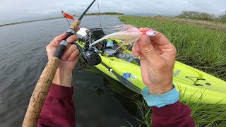 Light Tackle Inshore Spring Jigging for a Limit [upl. by Avlis]