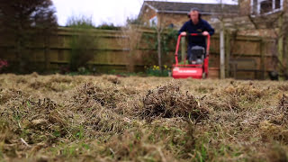 Lawn Scarification  Correct Scarification Procedure [upl. by Mayram209]