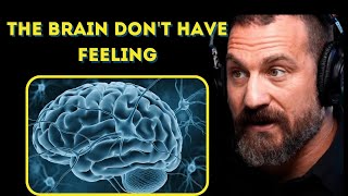 Dr Andrew Huberman  We have no feelings The Brain Lies [upl. by Mackoff]