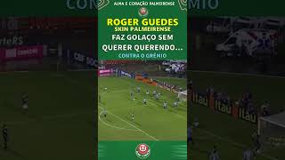 PALMEIRAS VENCE GREMIO COM GOLAÇO POR ACASO [upl. by Schatz]